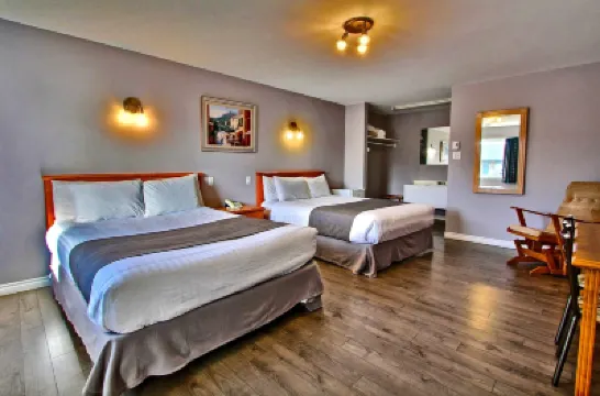 拉蒂芙蓉思飯店 住宿飯店