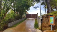 Green Forest Rustic Houses