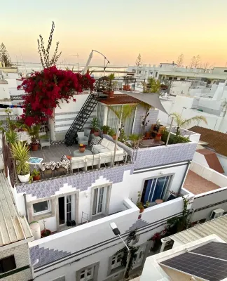 Zenit Olhao Bed & Breakfast - acceptant les animaux