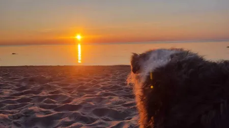 Ferienpark-Eichenwald