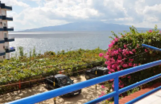 Hotel Vila Alvin & Apartments - Pet friendly