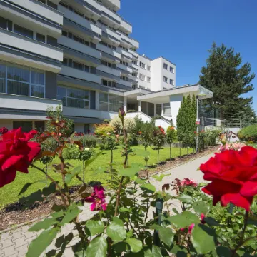 Hotel Park
