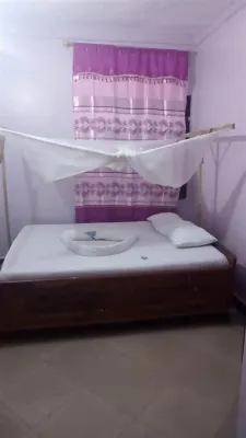 아타 사파리 로지 시냔가  호텔