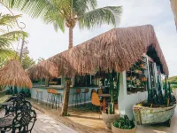 Cactus Lodge Pipa Hotéis em Pipa