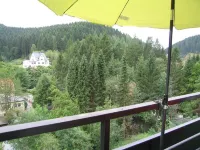 Vacation apartment with large balcony Hotels in Wildemann