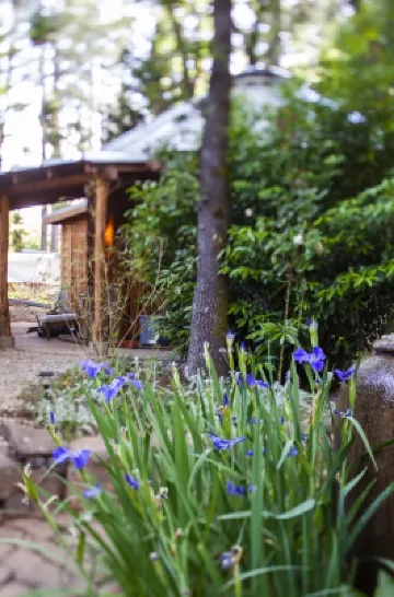 Handcrafted Roundhouse studio & loft. Large sky window + private outdoor shower