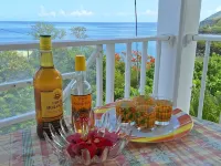 Charming villa with sea view