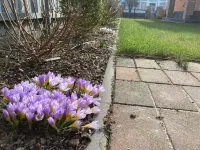 Landlust Bergsdorf - pure relaxation! Hotels in Zehdenick