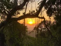 Jungle, waterfall, sea view, 5 minutes from beach, lap pool & gym. Bird watching