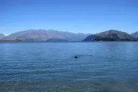 Cardrona    Townhouse Hotels in Cardrona