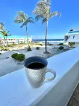 Palms Trees & Oceanfront Condo: FAB Reviews -So Cozy  2BD-2Bath,Deck,Pool & WiFi