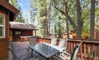 Arctic Wolf at Summit Base