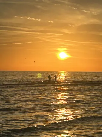 Vera Cottage 10 minutes from St Pete Downtown & Pier 2 bedrooms- 2 king 2 twin