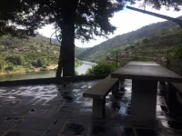 Quinta da Boavista - Douro River Villa Hotels in Cinfaes