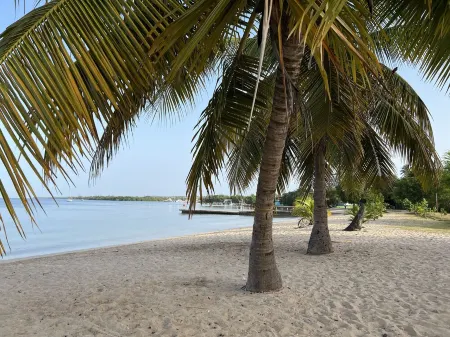 Perfect Location, Inside Poblado Boqueron