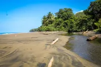Luxury Steps Away From The Beach - Villas Azul #3a