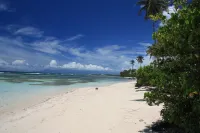 Comfortable villa, swimming pool, tropical garden, near beach st Anne, 8 pers Hotels in Sainte-Anne