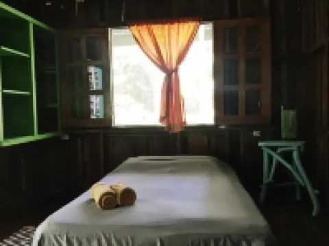 Madre Selva Jungle Hostel Hotels in Cocles