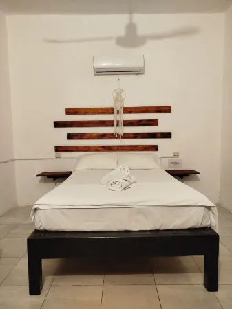 Casa Otilia - Hospedaje