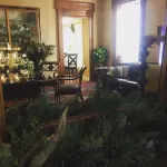 더 마운트 버넌 인