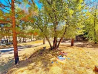 Modern Yosemite Cabin, 15Min Bass Lake, Sleeps 8 Hôtels à : Madera County