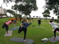 Kaclla, the Healing Dog Hostel