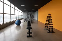 Italian Palace Hotel Rede Carlton - Gym
