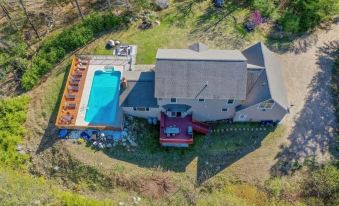 Blueberry More Limit 17 Home