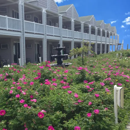 Ocean Walk Hotel