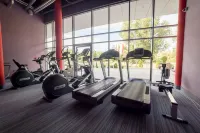 Copernicus Toruń Hotel - Gym