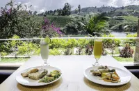 Hotel la Magdalena Adult Only Các khách sạn ở Concepcion