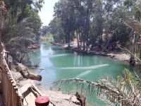 David Hostel Hoteles en Livnim