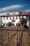 Casa do Santo - Wine & Tourism Hotels in Provesende