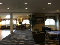 Microtel Inn & Suites by Wyndham Indianapolis Airport