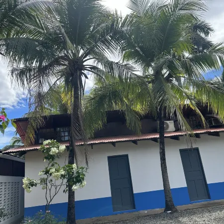 Wide Mouth Frog Conchal
