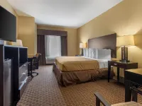 Best Western Bastrop Pines Inn Hoteles en Condado de Bastrop