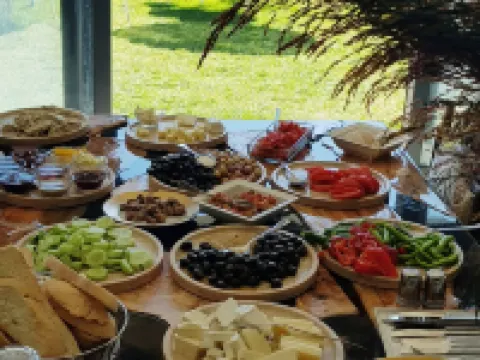 Nur Karen Taş Konak Dikili otelleri