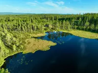 Luxury Off-Grid House - Homestays