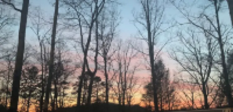 WINDROCK CABIN THAT IS 5 MINUTES AWAY FROM GENERAL STORE AND TRAIL HEADS BEAUTY!