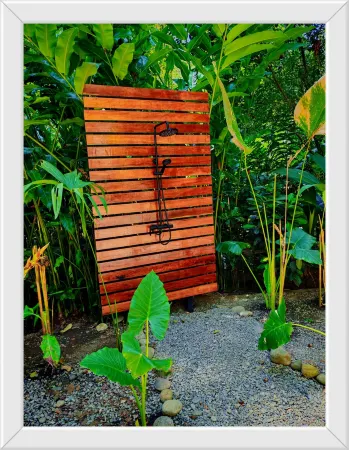 Hotel Boutique the Green Jungle House Отели в г. Punta Uva