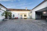 Spacious 5-bedroom house in charming Sao Joao da Ribeira with AC, WiFi Hotels in Rio Maior