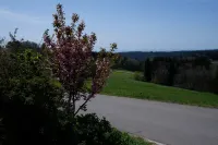 Quiet vacation apartment in the southern Black Forest, 10 minutes from St. Blasien Hotels in Dachsberg