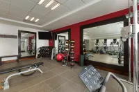 Hilton Garden Inn Queretaro - Gym
