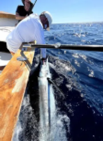 3 Bdr Luxe Villa with Private Pool, 20 Min from beach By Foot