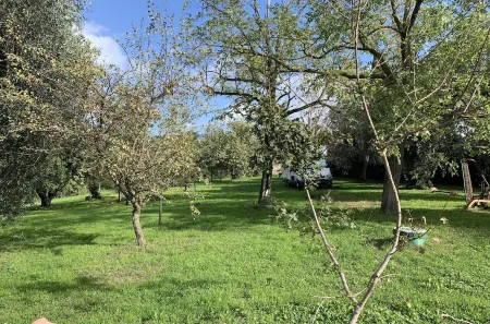 Farmhouse with pool and park, ideal for families or groups of friends