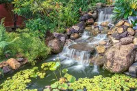 A serene & charming Farmstay set amidst pristine nature and well equipped rooms