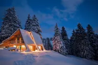 Chalet Alpinka Hotels in Kranj