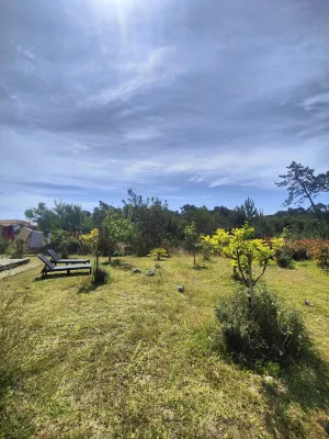 O Gato Do Mar Gueste House Hotel a 