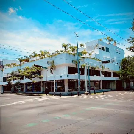 La casa de las palmeras