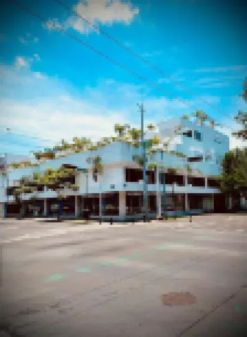 La casa de las palmeras